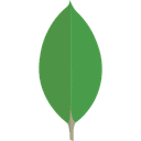 MongoDB